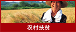 农村扶贫